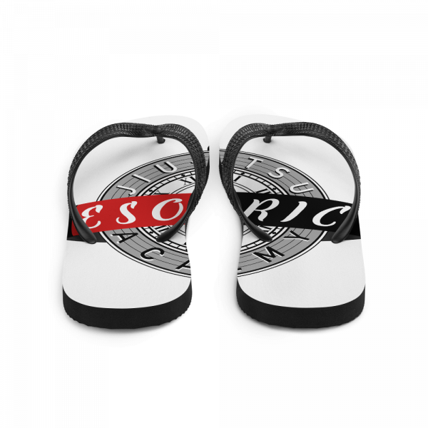 Flip-Flops - Image 2